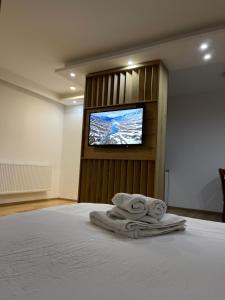 TV a/nebo společenská místnost v ubytování Honey Valley Bjelašnica