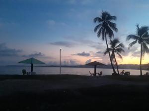 a beach with two palm trees and chairs and umbrellas at Ocean Breeze Hotel & Restaurant in Achien