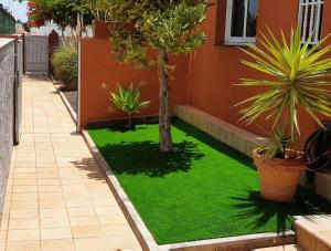 a small garden with green grass next to a house at West Corner Caleta de Fuste in Caleta De Fuste
