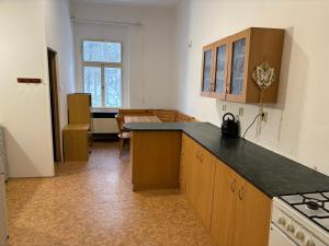cocina con armarios de madera y encimera en Apartmány Zahradní, en Františkovy Lázně