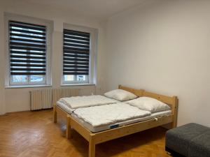 1 dormitorio con 1 cama y 2 ventanas en Apartmány Zahradní, en Františkovy Lázně