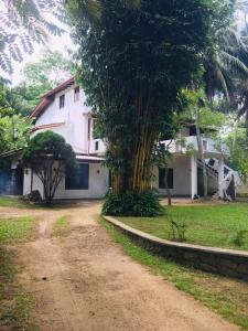 una casa con una palmera al lado de un camino de tierra en Meepe Huis, en Belikolapagoda