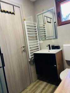 een badkamer met een wastafel en een spiegel bij Snowflake in Žabljak