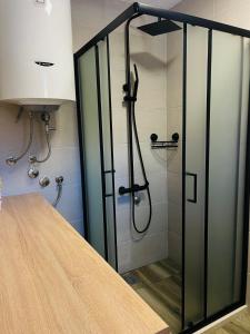 een douche met een glazen deur in de badkamer bij Snowflake in Žabljak