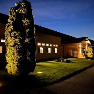 a tree in front of a building at night at Gut Buchenhof in Buchenberg