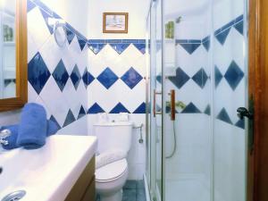 een blauwe en witte badkamer met een toilet en een douche bij Live Arico El Cortijo Casa rural con Solarium & Terrace in Arico Viejo