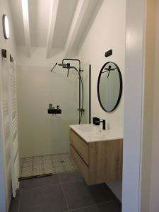 ein Bad mit einem Waschbecken und einem Spiegel in der Unterkunft Dijkhuis Driepolders in Biervliet
