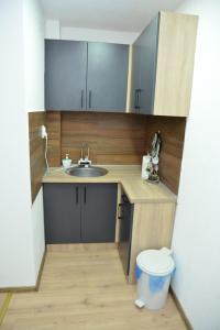 a small kitchen with a sink and a toilet at Apartmani Moskva in Kopaonik