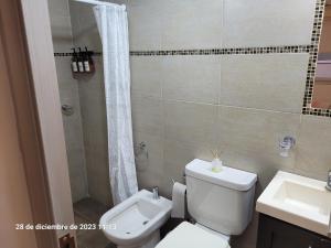 a bathroom with a toilet and a shower and a sink at Departamento centrico en Posadas in Posadas