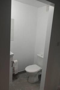 baño con aseo blanco en una habitación en Bestwood Lodge Studio, en Nottingham