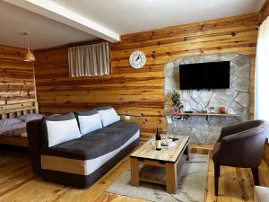 ein Wohnzimmer mit einem Sofa und einem TV in der Unterkunft Vila Durmitorska bajka in Žabljak