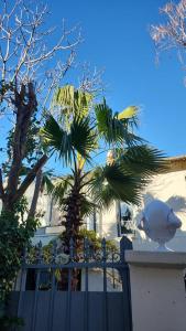 un bâtiment blanc avec des palmiers devant une clôture dans l'établissement Le Nid, à Avignon