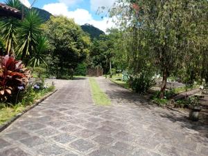 a cobblestone street in a park with trees at Chalé Le Refuge in Teresópolis