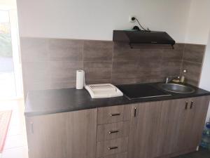 Kuchyň nebo kuchyňský kout v ubytování Apartmani Studio