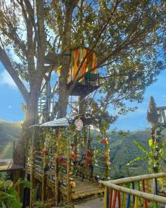 EL EDEN HABITACIONES في مانيزاليس: منزل شجرة مع طوق لكرة السلة في شجرة