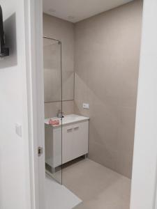 La salle de bains est pourvue d'un lavabo et d'une douche en verre. dans l'établissement Apartamento Gran Turia, à Valence