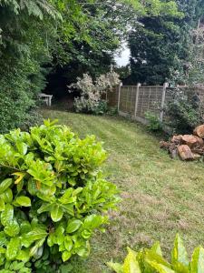 einen Garten mit einem Zaun und einem grünen Busch in der Unterkunft Amazing Entire Home in Wolverhampton in Wolverhampton