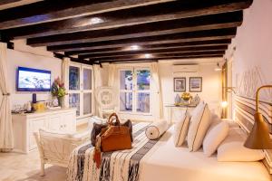 TV a/nebo společenská místnost v ubytování Leones de Alba Hotel Boutique