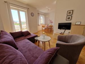 TV a/nebo společenská místnost v ubytování APARTMENTS JOSIPA