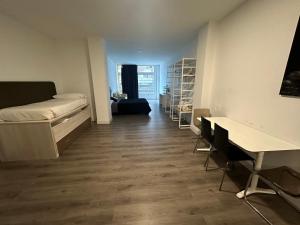 Zimmer mit einem Bett und einem Schreibtisch. in der Unterkunft Apartamentos RK 13 in Bilbao