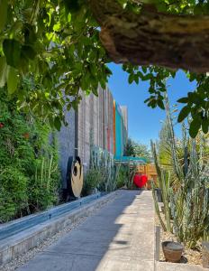 A garden outside The Clarendon Hotel and Spa