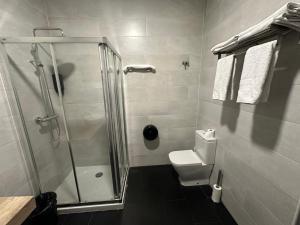 y baño con ducha y aseo. en Apartamentos RK 13, en Bilbao