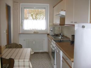 杜能的住宿－Ernst-Gock Weg 07，一个带水槽和窗户的小厨房