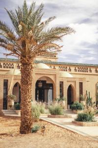 梅爾祖卡的住宿－Sahara pearl Hotel，一座建筑前的棕榈树