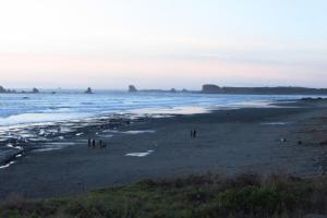 Fotografie z fotogalerie ubytování Pacific Princess v destinaci Crescent City