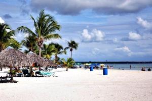 ボカ・チカにあるBoca del Mar Residence, Boca Chicaのヤシの木と海のビーチ
