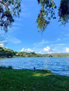 un pájaro sentado en el césped junto a un lago en Casa na Orla de Lagoa Santa en Lagoa Santa