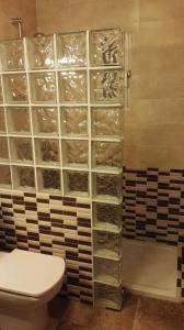 デルテブレにあるMas Panoliのバスルーム(トイレ、ガラス張りの棚付きシャワー付)