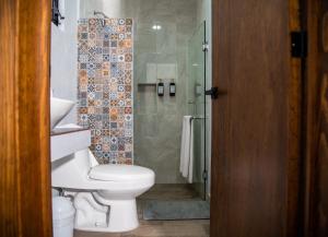 a bathroom with a toilet and a shower at Quinta Mercedes in Guanajuato