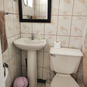 a bathroom with a toilet and a sink and a mirror at Cabaña Playera cómoda y central in Viña del Mar