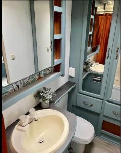 a bathroom with a sink and a toilet and a mirror at Happy Camper - Close to Mackinac Island in Carp Lake
