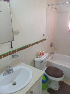 y baño con lavabo, aseo y espejo. en Cheerful 2-Bedroom Home in Falmouth Garden, en Falmouth