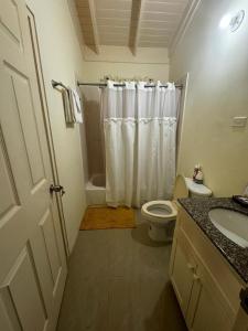 a bathroom with a shower and a toilet and a sink at Epic Paradise in Ocho Rios