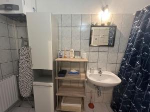 a small bathroom with a sink and a mirror at Wiener Altbauflair in Zentrum Wiens in Vienna