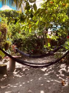 uma rede no meio de um jardim em La Caleta em Mompiche