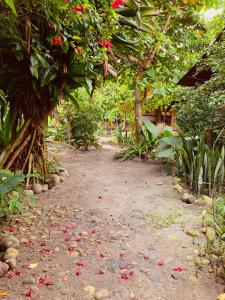 un camino de tierra con un árbol y flores en el suelo en La Caleta, en Mompiche