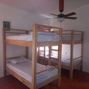 two bunk beds in a room with a ceiling fan at TOnat Caribe Hostel01 in West End