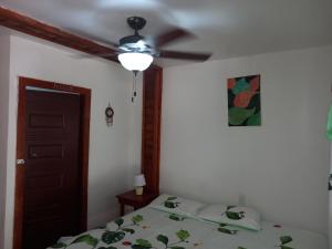 a bedroom with a bed and a ceiling fan at TOnat Caribe Hostel01 in West End