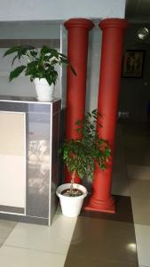 two red pillars with a potted plant in a room at Monarchy Guest House in Johannesburg
