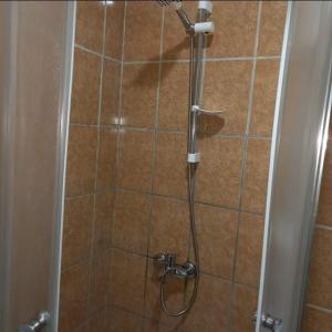 y baño con ducha y puerta de cristal. en TOnat Caribe Hostel01, en West End