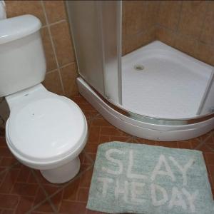 a bathroom with a toilet and a shower and a rug at TOnat Caribe Hostel01 in West End