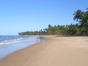 an empty beach with palm trees and the ocean at Suite 1 in Marau