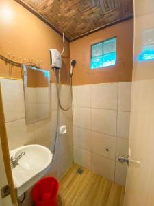 La salle de bains est pourvue d'une douche et d'un lavabo. dans l'établissement Eashantis Place, à San Vicente