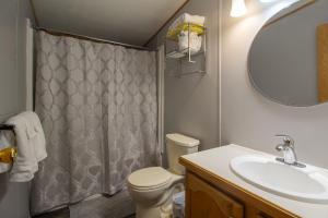 a bathroom with a shower curtain and a toilet at Stay In Ohiopyle near the GAP Trail - Ohiopyle, PA in Ohiopyle