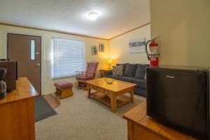 a living room with a tv and a couch at Stay In Ohiopyle near the GAP Trail - Ohiopyle, PA in Ohiopyle