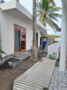 a house with a palm tree in front of it at Penguin House in Puerto Villamil